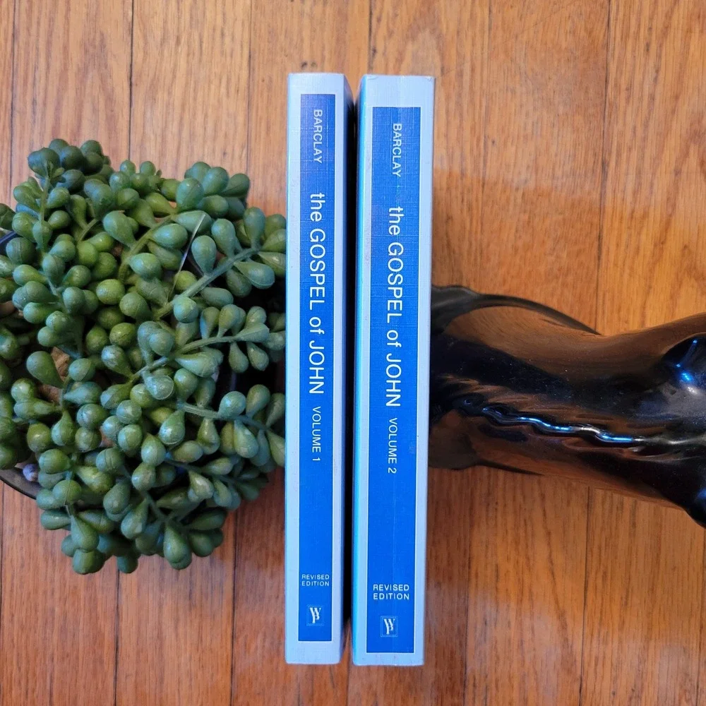 Westminster Press Gospel of John Blue Barclay Revised Edition Set DSB Commentary